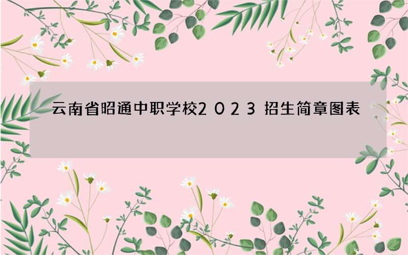 云南省昭通中职学校2023招生简章图表