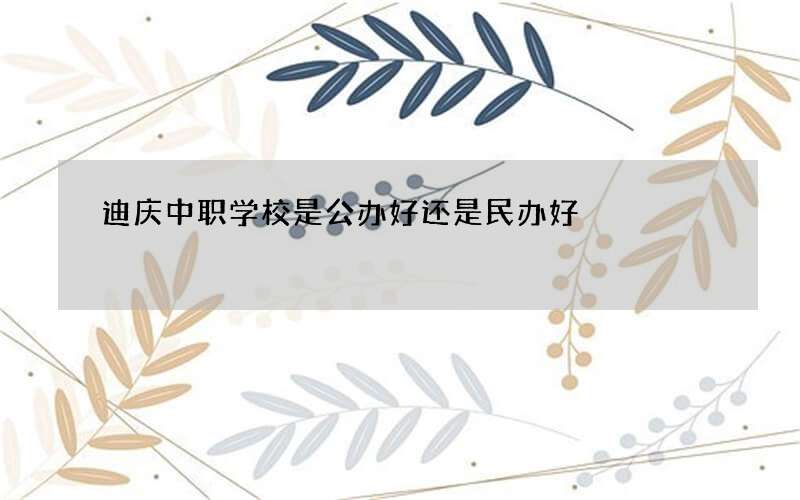 迪庆中职学校是公办好还是民办好